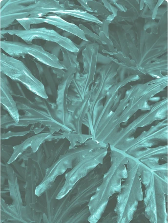 Nachhaltiger mit refurbed